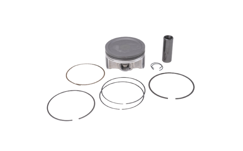 Piston & Ring Set